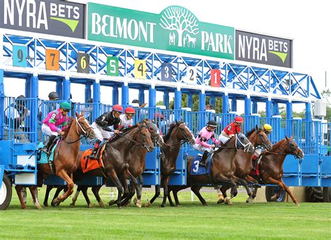 nyrabets|belmont park race track.